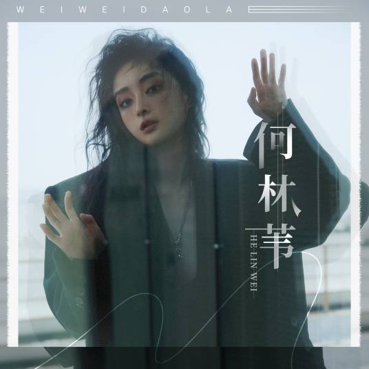 何林苇（何林苇演唱的同名专辑）_百度百科