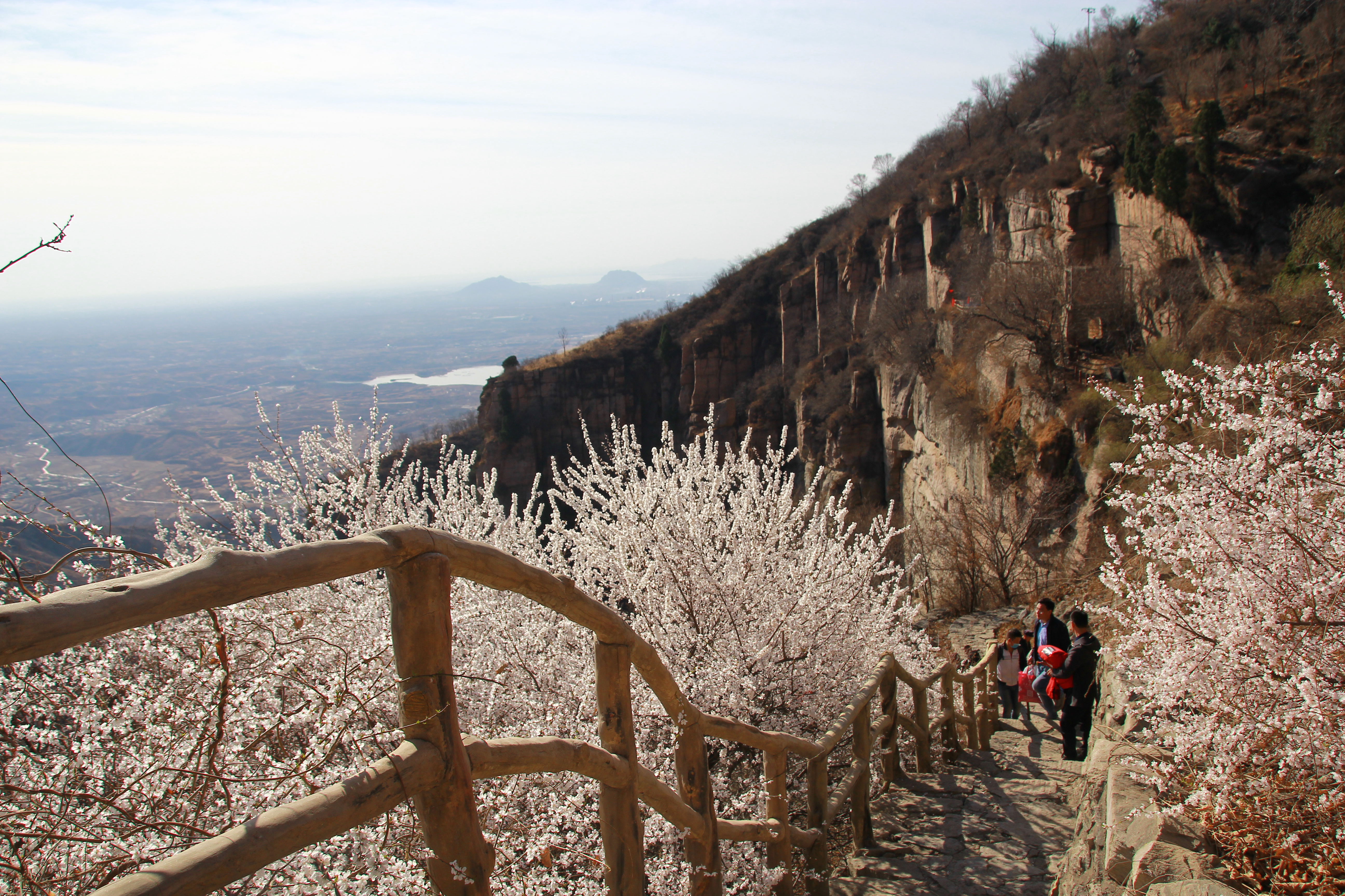  p data-id="gnbs46um3r">王母山景区,是敬业四大旅游区之一.