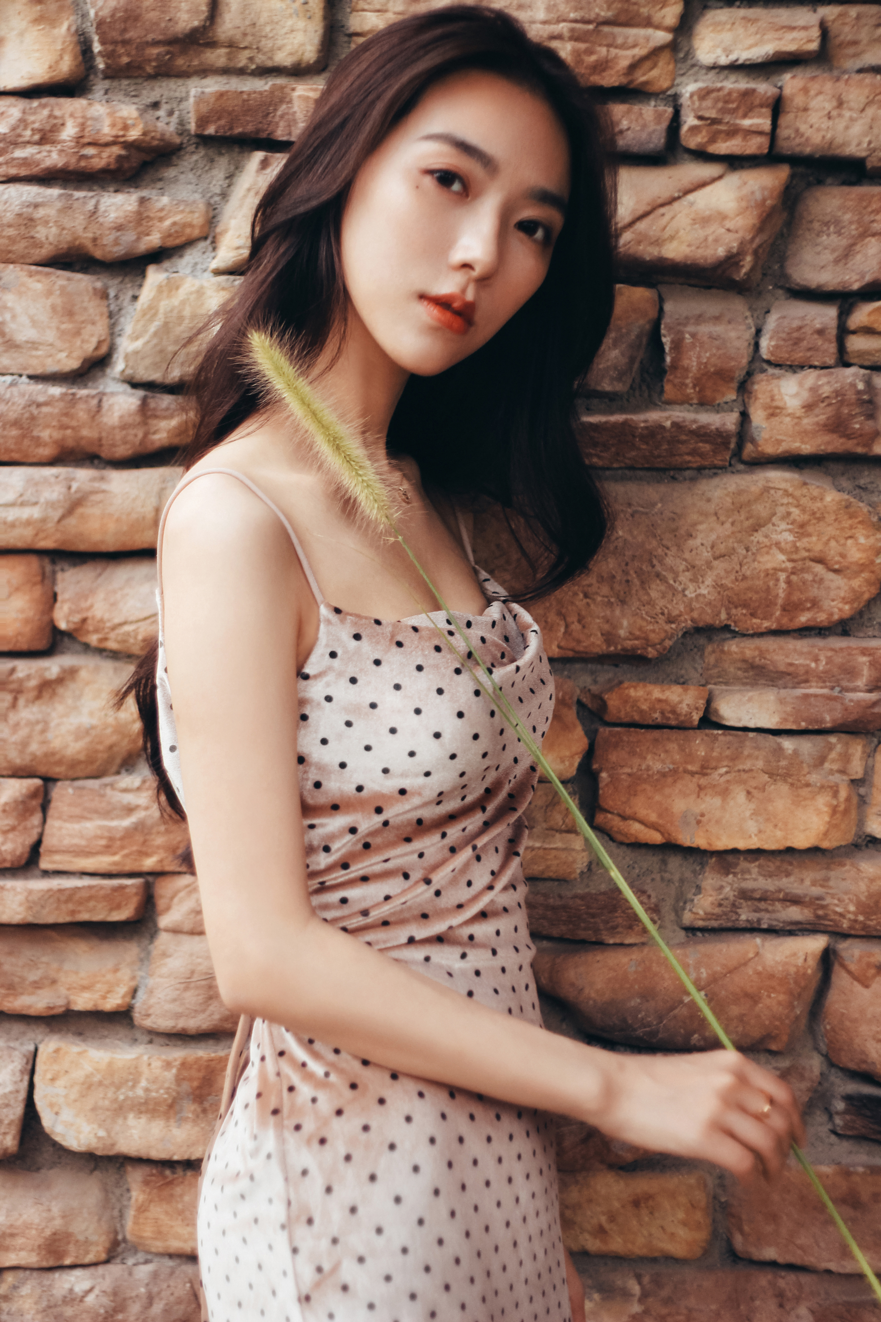 class="ref" data-ctrid="2hv9hodqlby">四川省自贡市 /span> sup