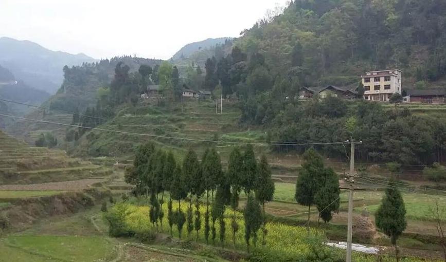  p>大坪乡,隶属于四川省凉山彝族自治州普格县,地处普格县东南部,东与