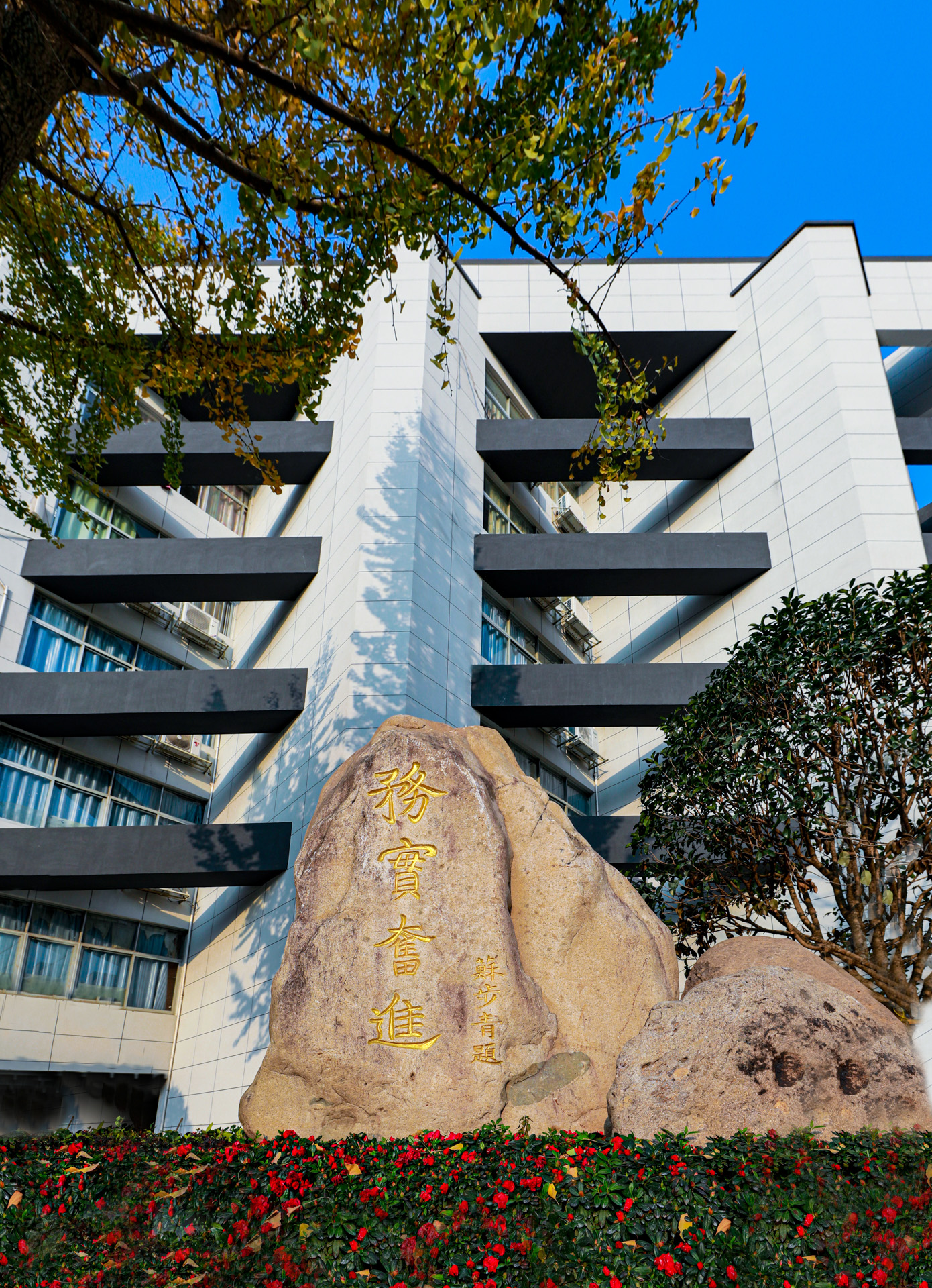 平阳县第二中学