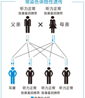 母系遗传_百度百科