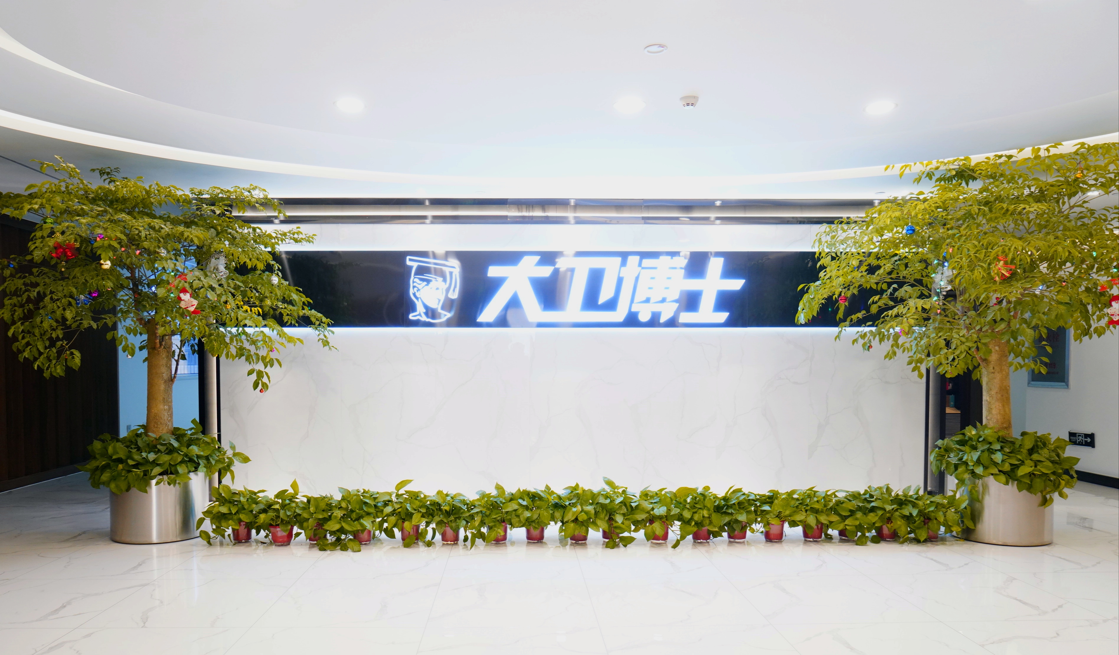 大卫博士有限公司