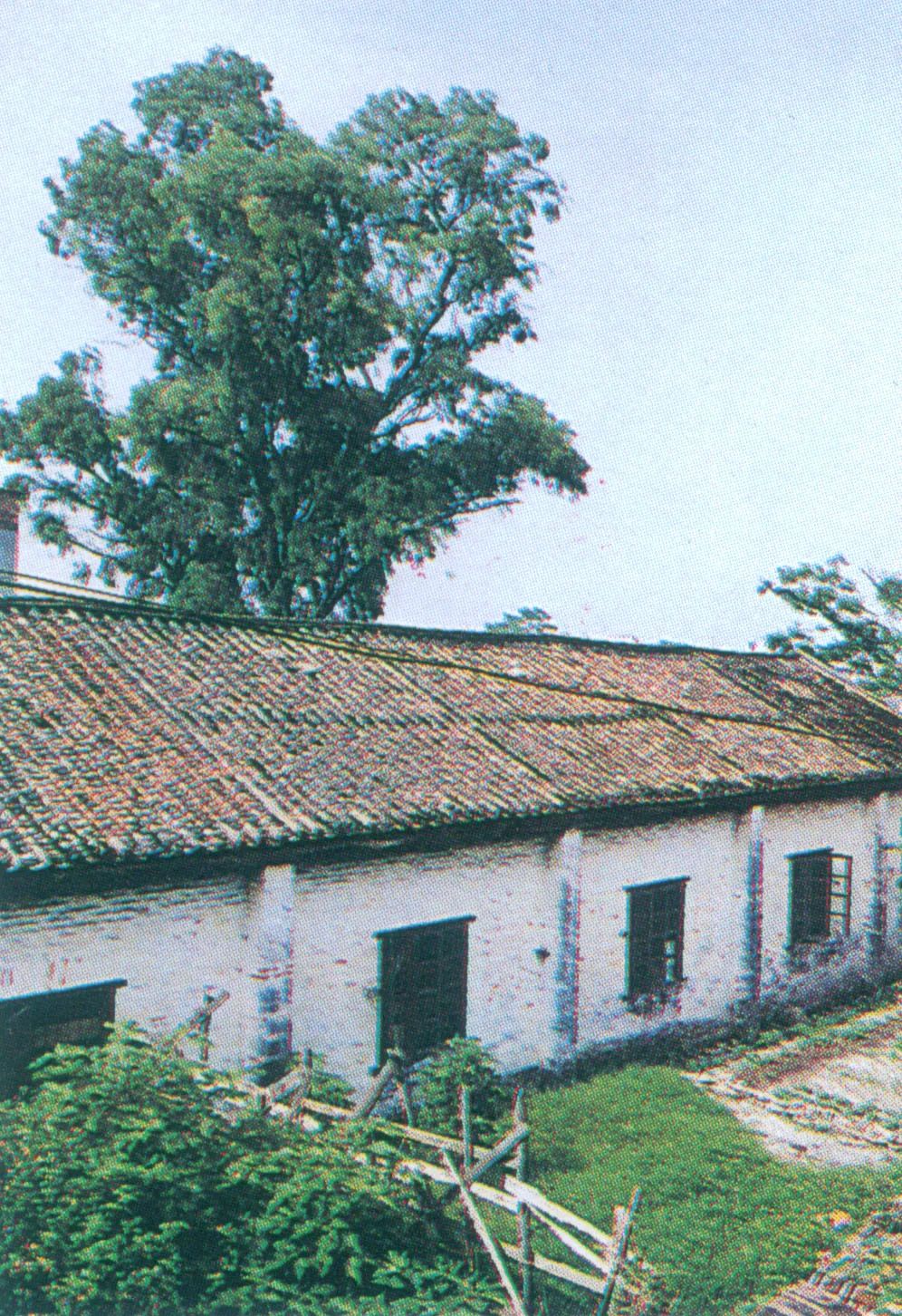 广州市花都区新华中学