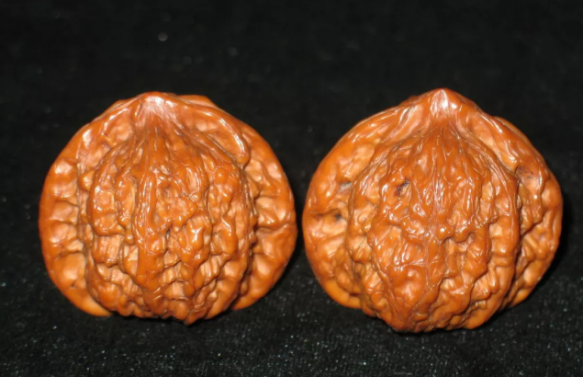 文玩核桃中的“王者”到底是谁？_百科TA说