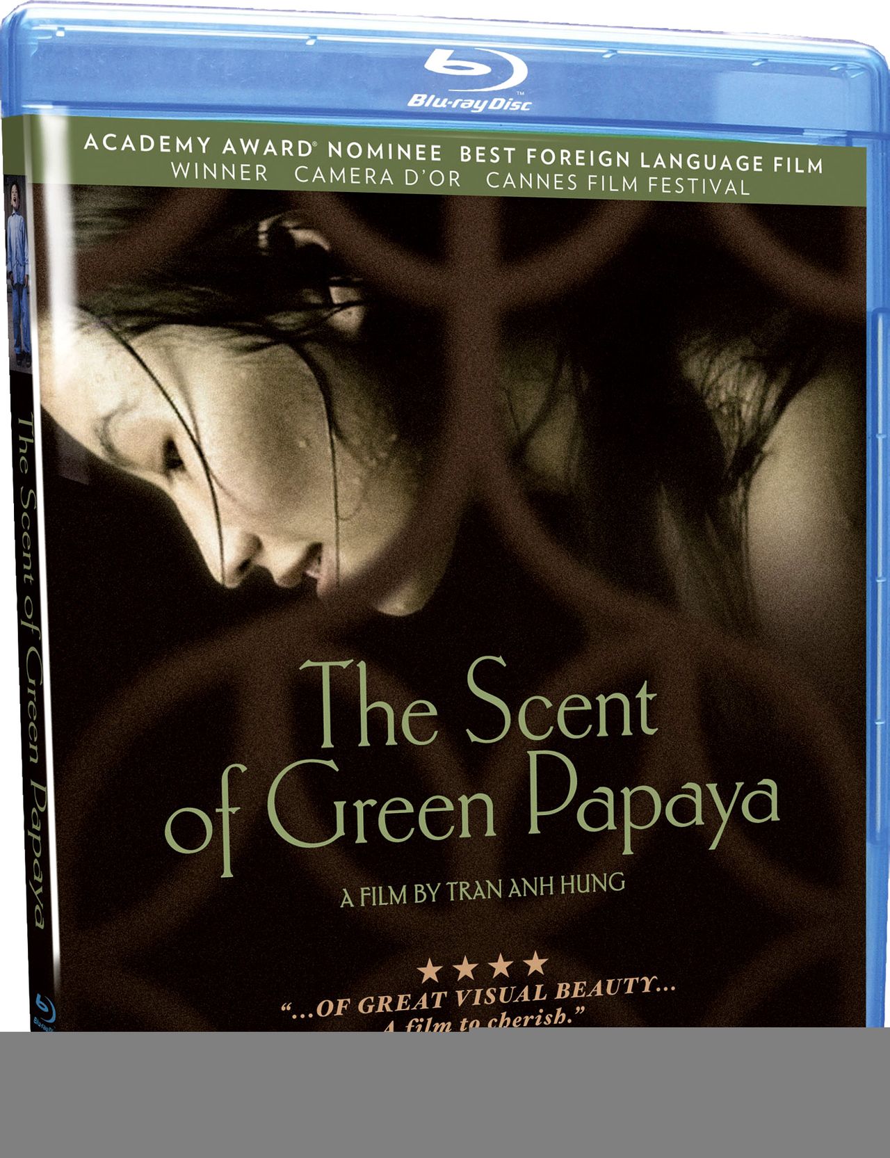 青木瓜之味thescentofgreenpapaya(1993)