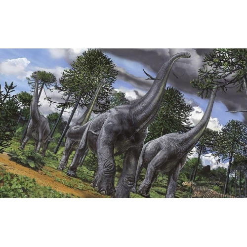 金沙江龙(chinshakiangosaurus)