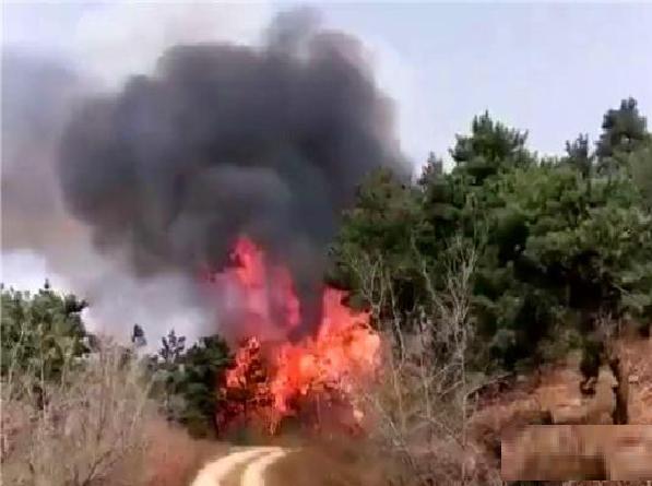 4·17铁岭市开原市山火