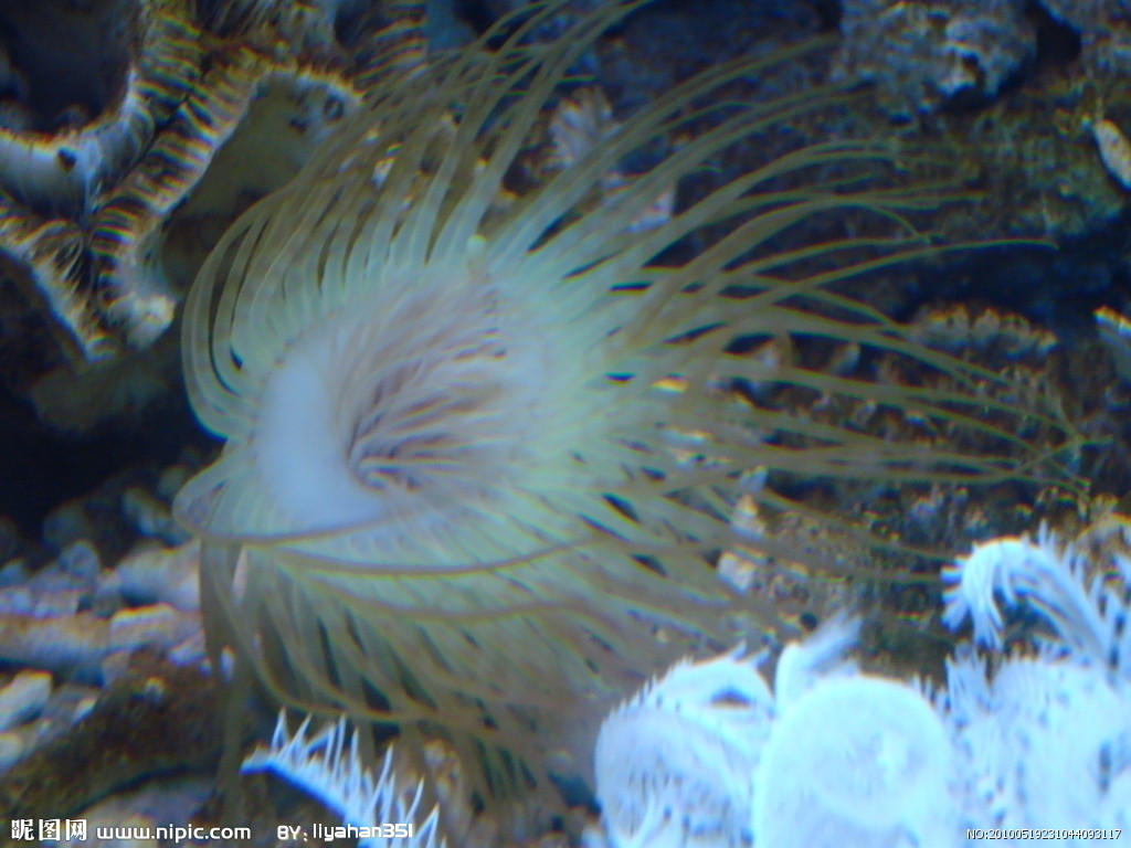 原生生物界 全网资源