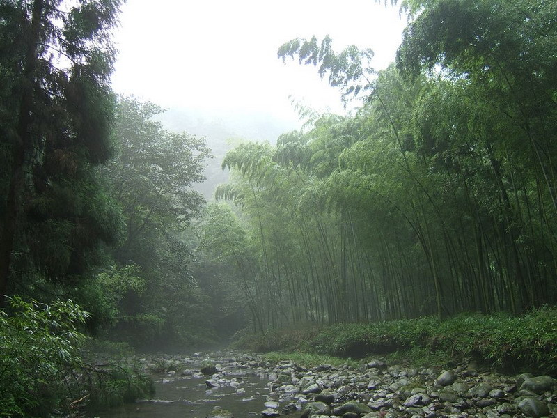 黑熊谷森林公园