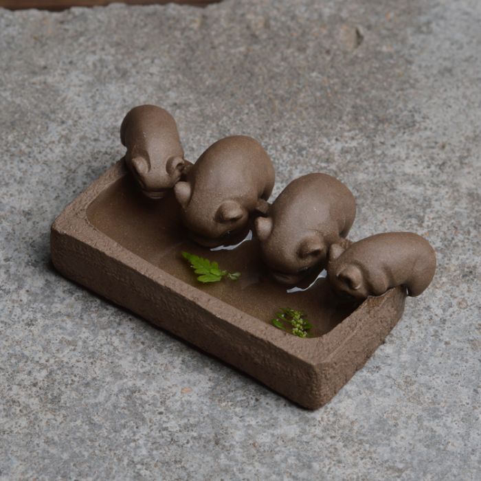 茶宠_百度百科