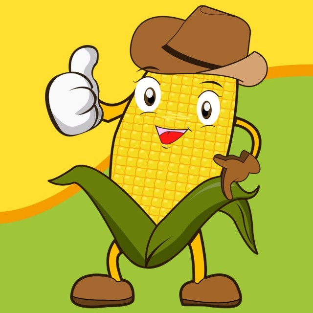 网络服务有限公司