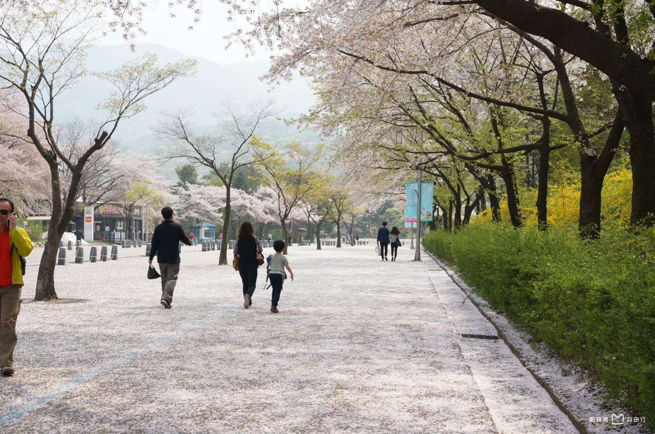 href="#" data-lemmaid="6009333">韩国 /a>著名的主题公园