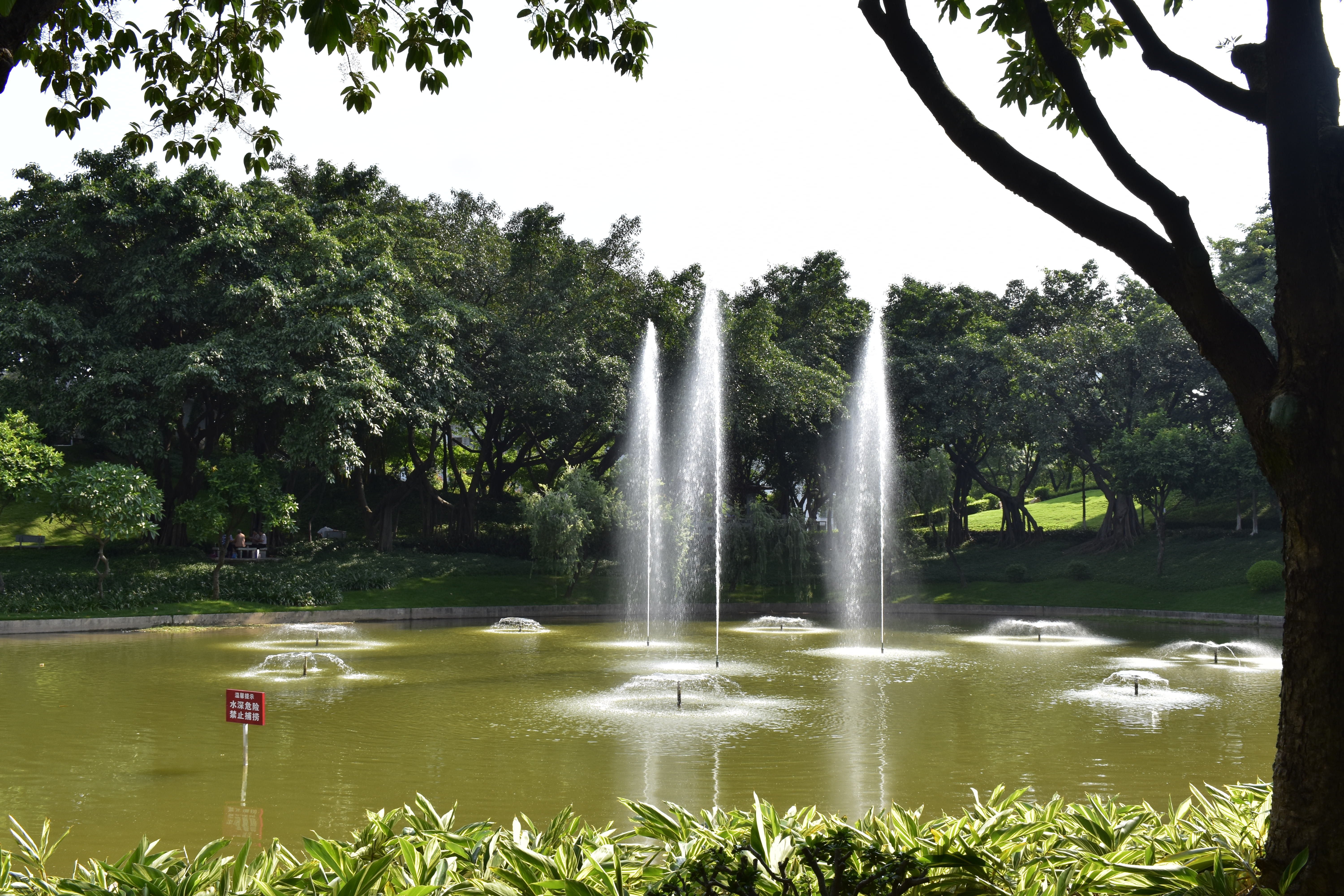  p>西南公园是广东省三水县西南镇的一座公园. /p>