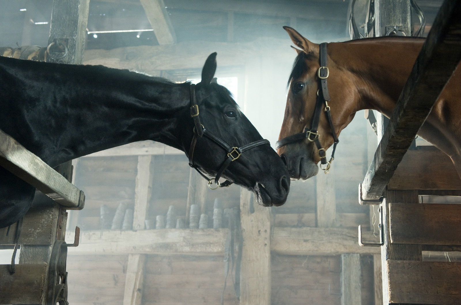  p>影片《战马》改编自英国桂冠作家 a target="_blank" href="/item