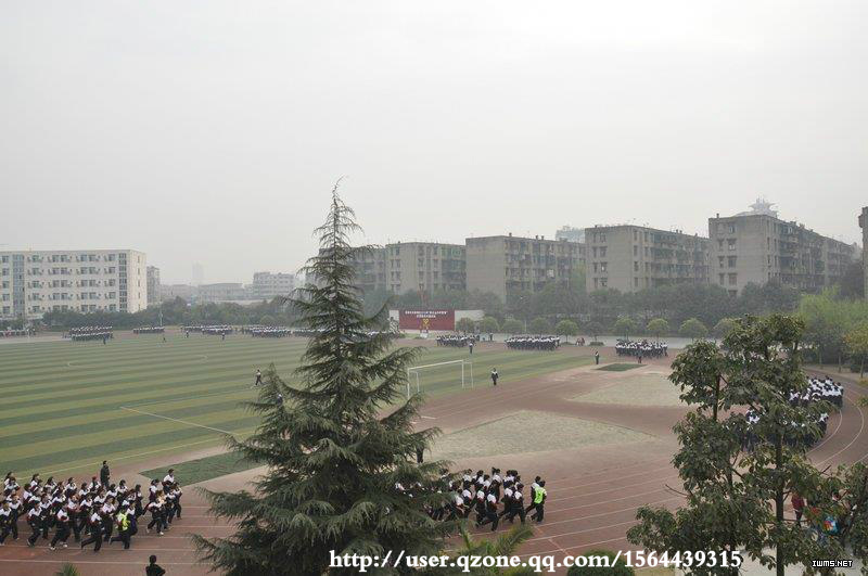  p> a target="_blank" href="/item/成都龙泉二中/4218084" data