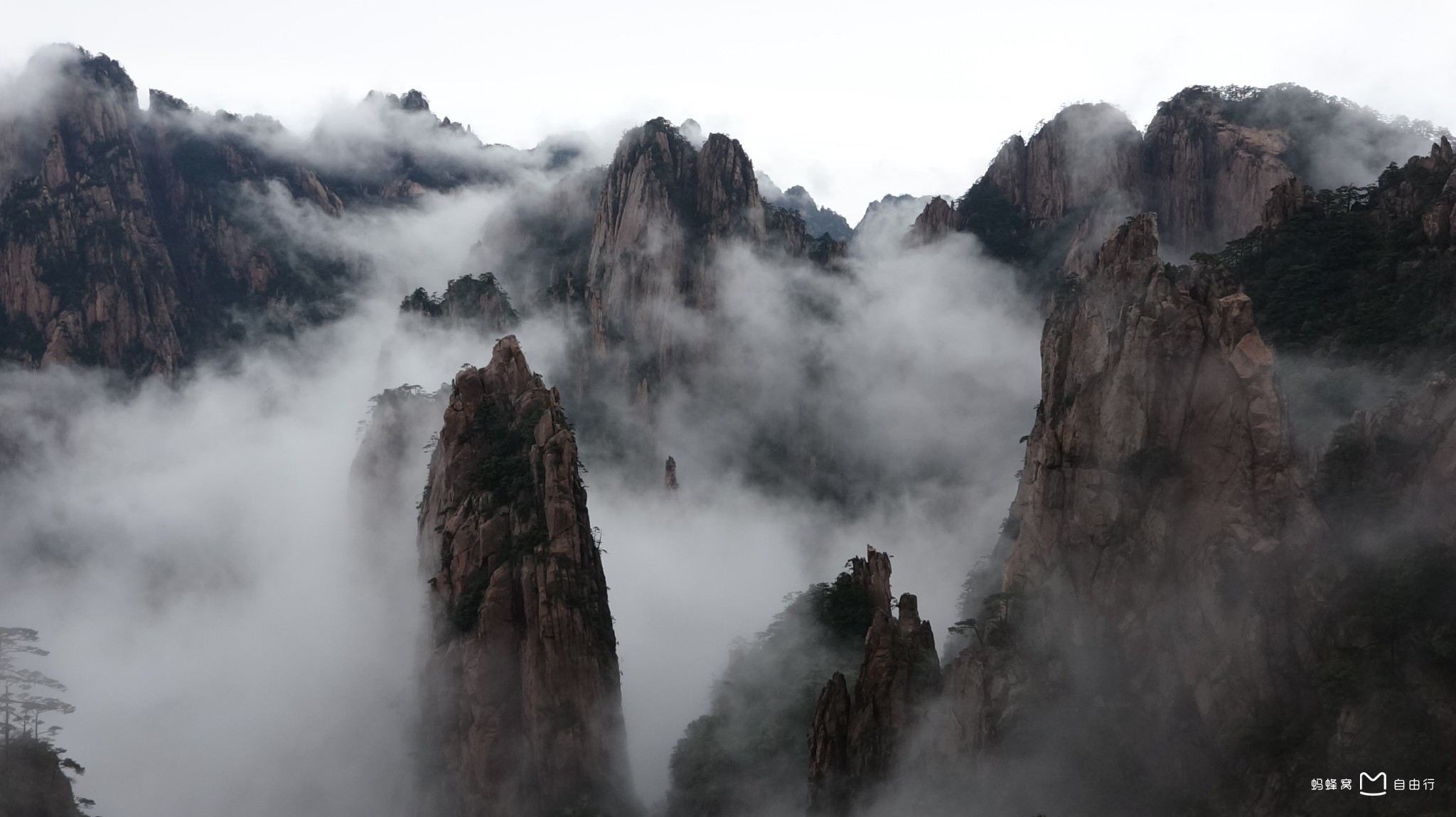  p data-id="gnariamyym">白云溪位于黄山西部,源于 a target="_blank