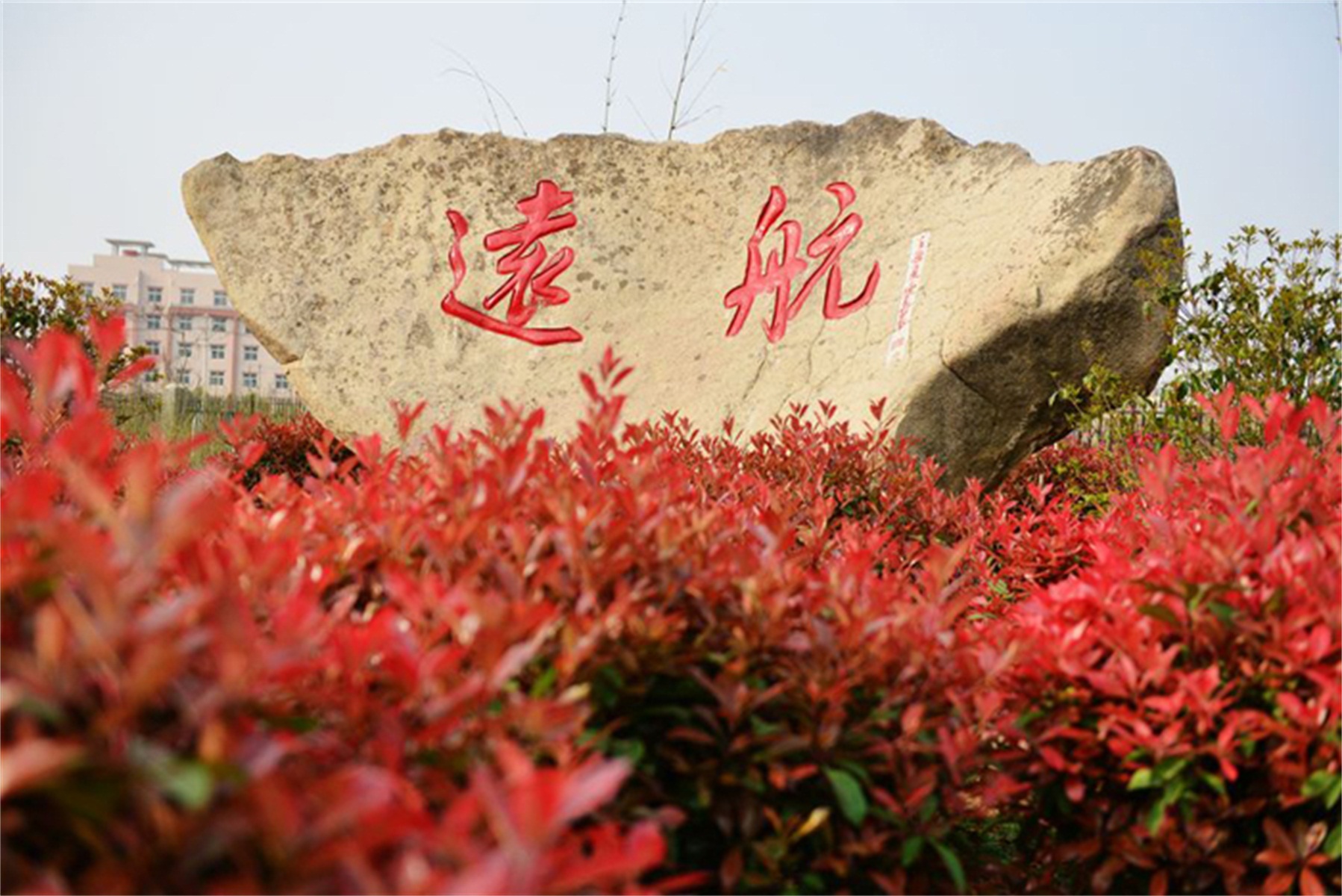 p>南阳医学高等专科学校(nanyang medical college),简称"南阳医专"