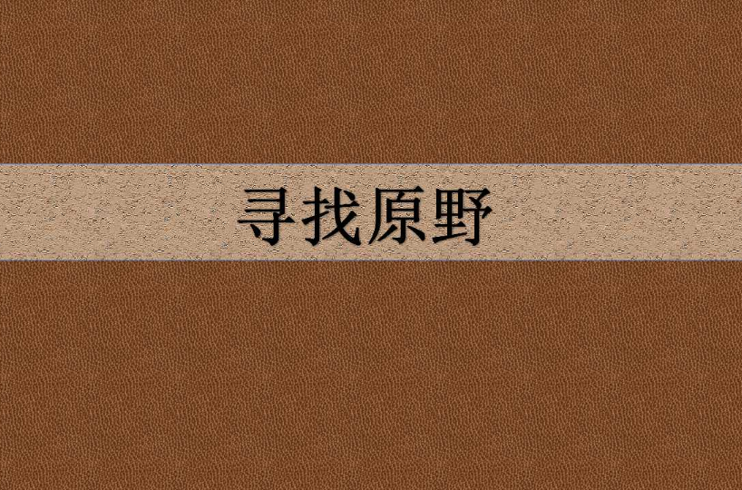《寻找原野》是20040101台湾九歌出版社出版的图书,作者是鲍尔吉