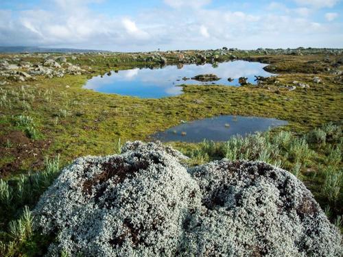 的生物多样性价值的遗产,这些遗产共同代表了世界上主要的生态系统