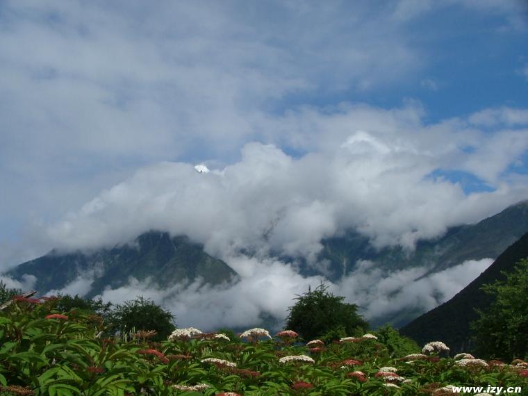 岗乡自然保护区