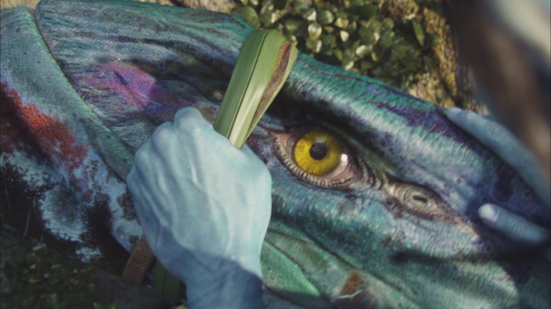  p>《阿凡达》 i>(avatar) /i>是一部由 a target="_blank" href="