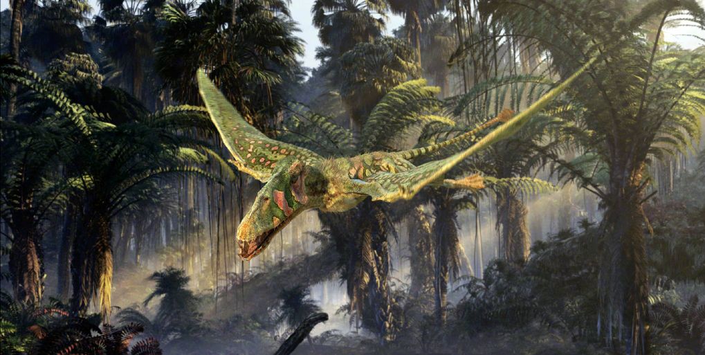 双型齿翼龙(dimorphodon)