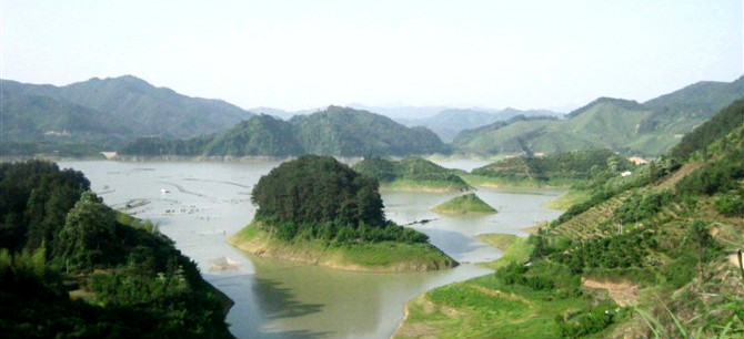 安化县柘溪国有林场