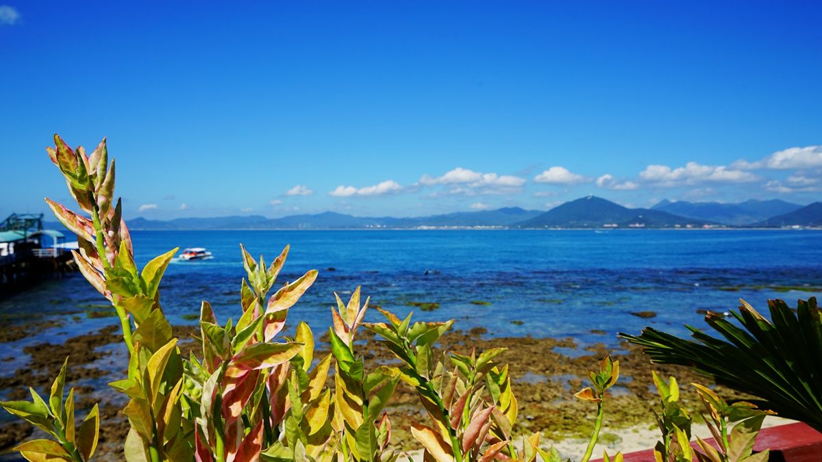 洲(dōngmào zhōu)又名 a target="_blank" href="/item/东岛/1941"