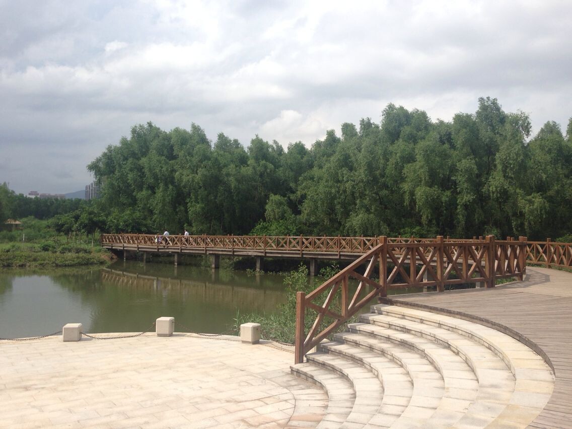 大亚湾红树林公园