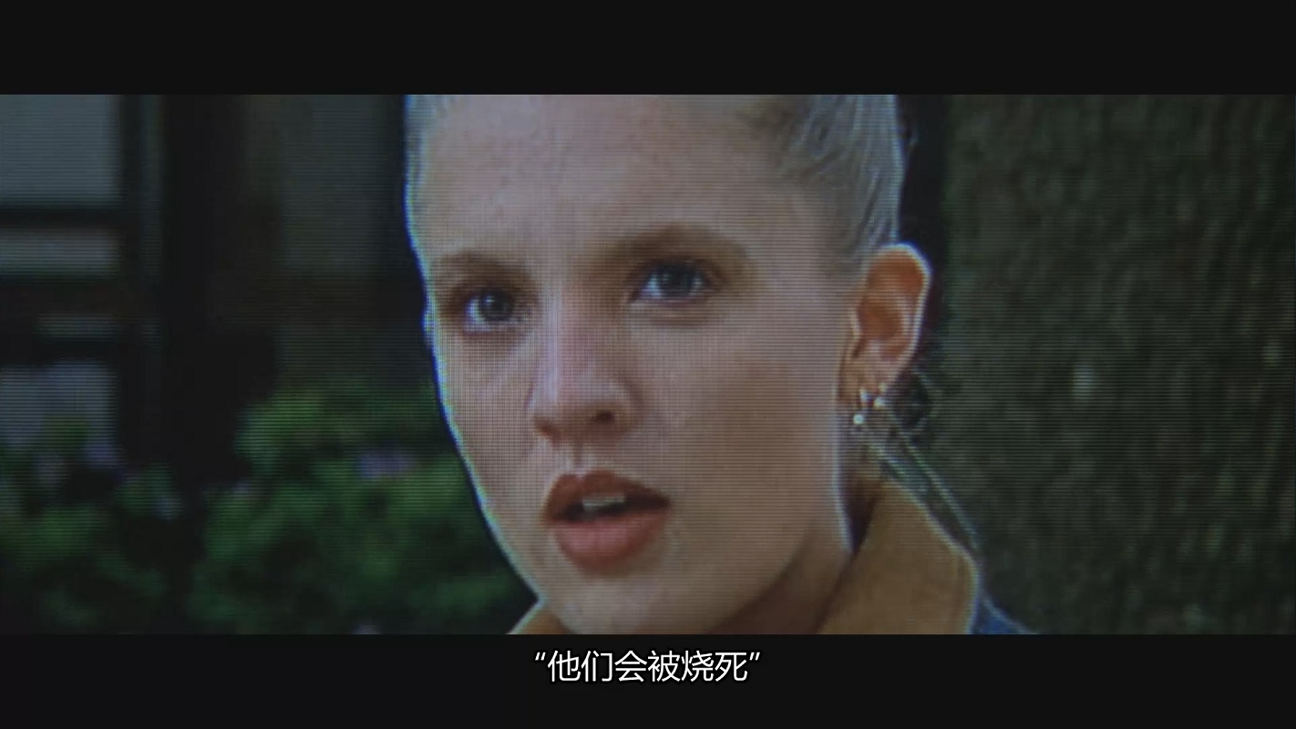 无懈可击arlingtonroad(1999)