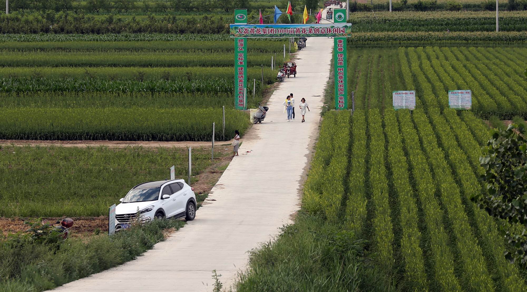  p>苏村镇,隶属于 a target="_blank" href="/item/陕西省">陕西省 /a