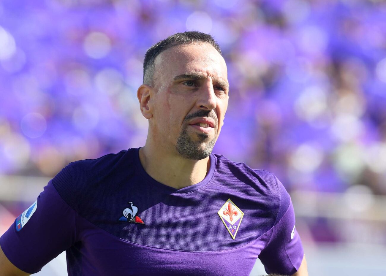 弗兰克·里贝利