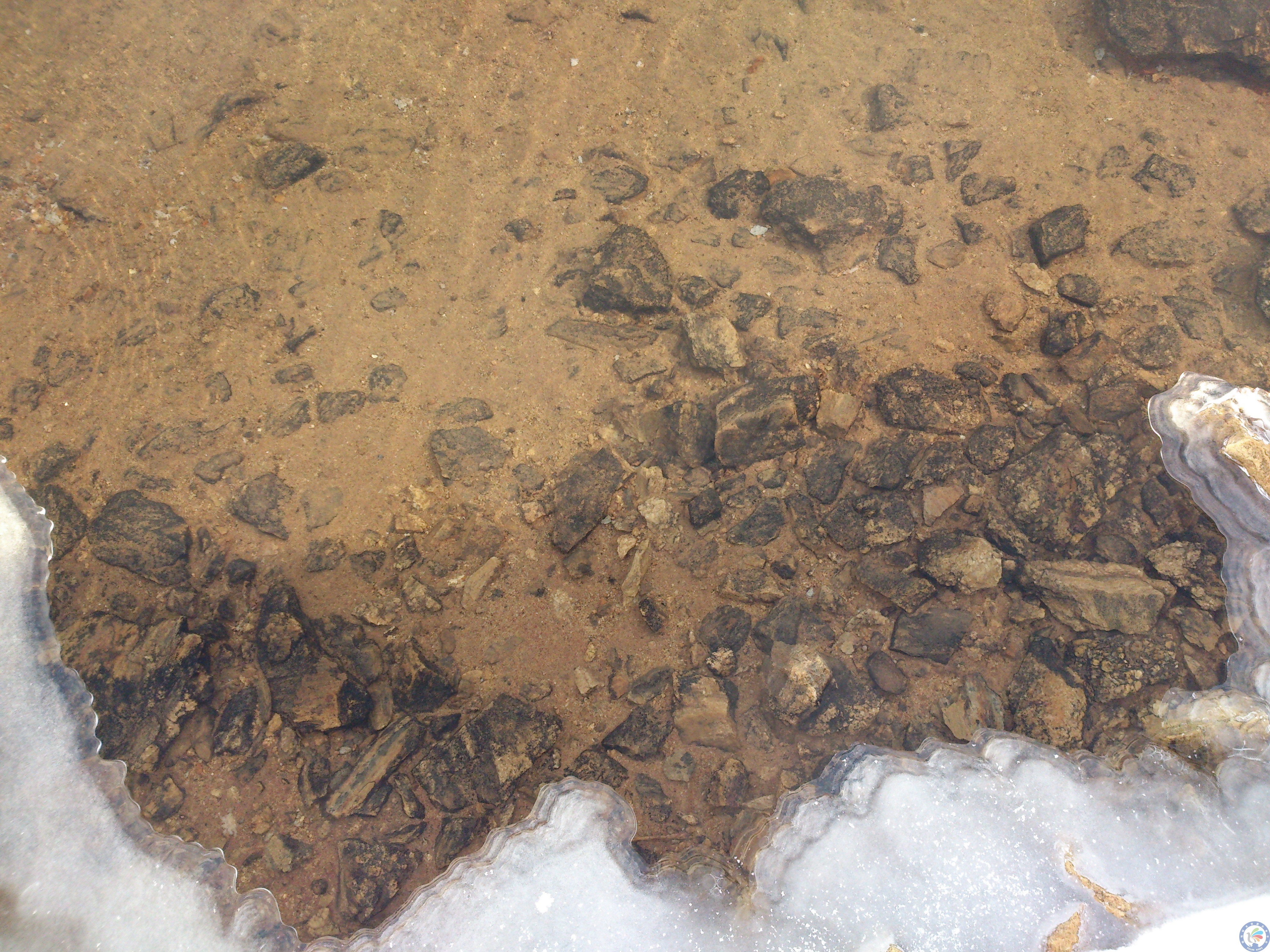 32次南极考察表层沉积物zssoqc-01