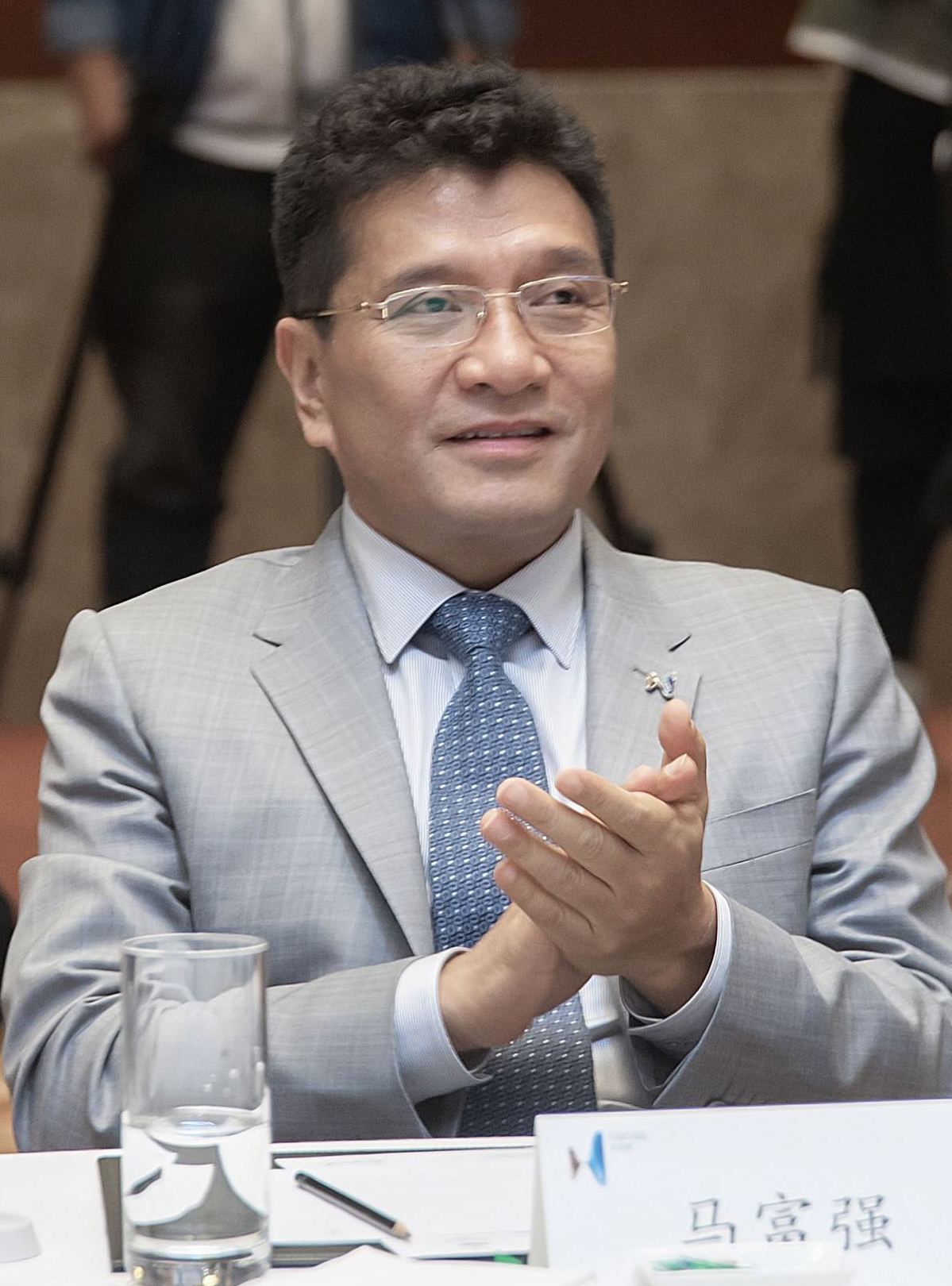 马富强