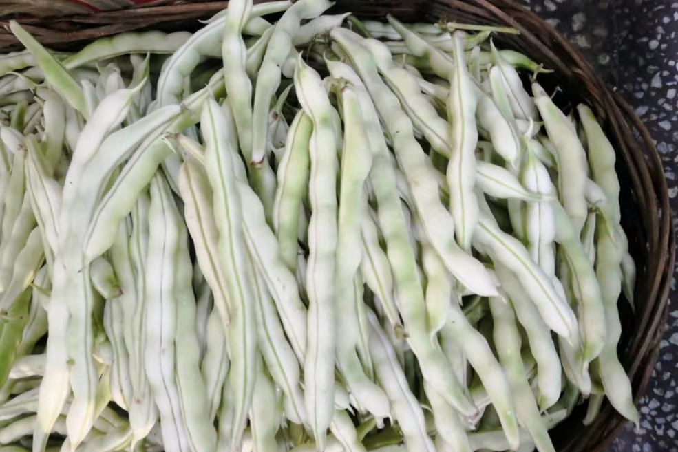 白豇豆