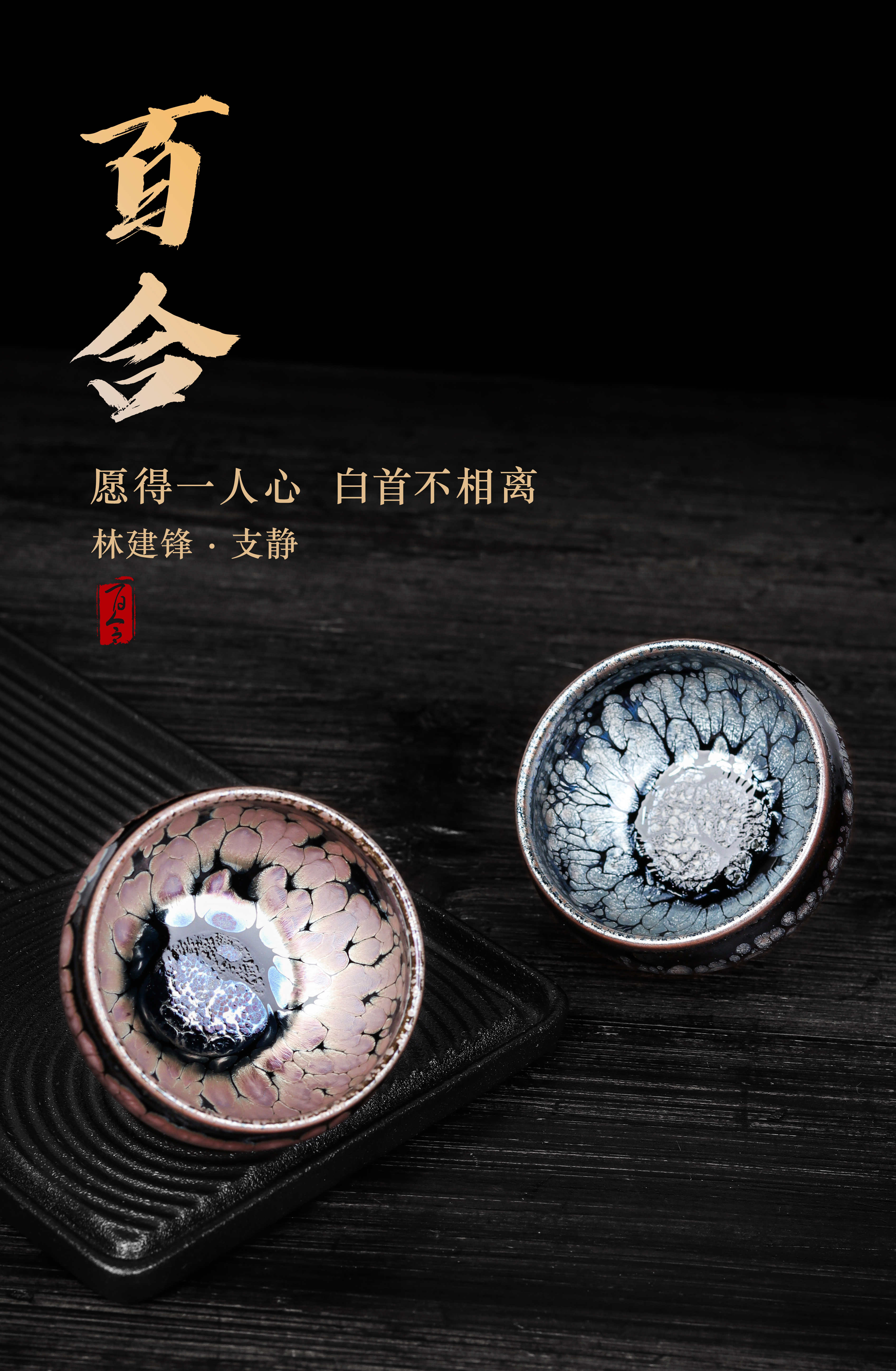  p data-id="t51mt5rseuyh">林建锋,福建建阳人,牡丹王建盏创始人.