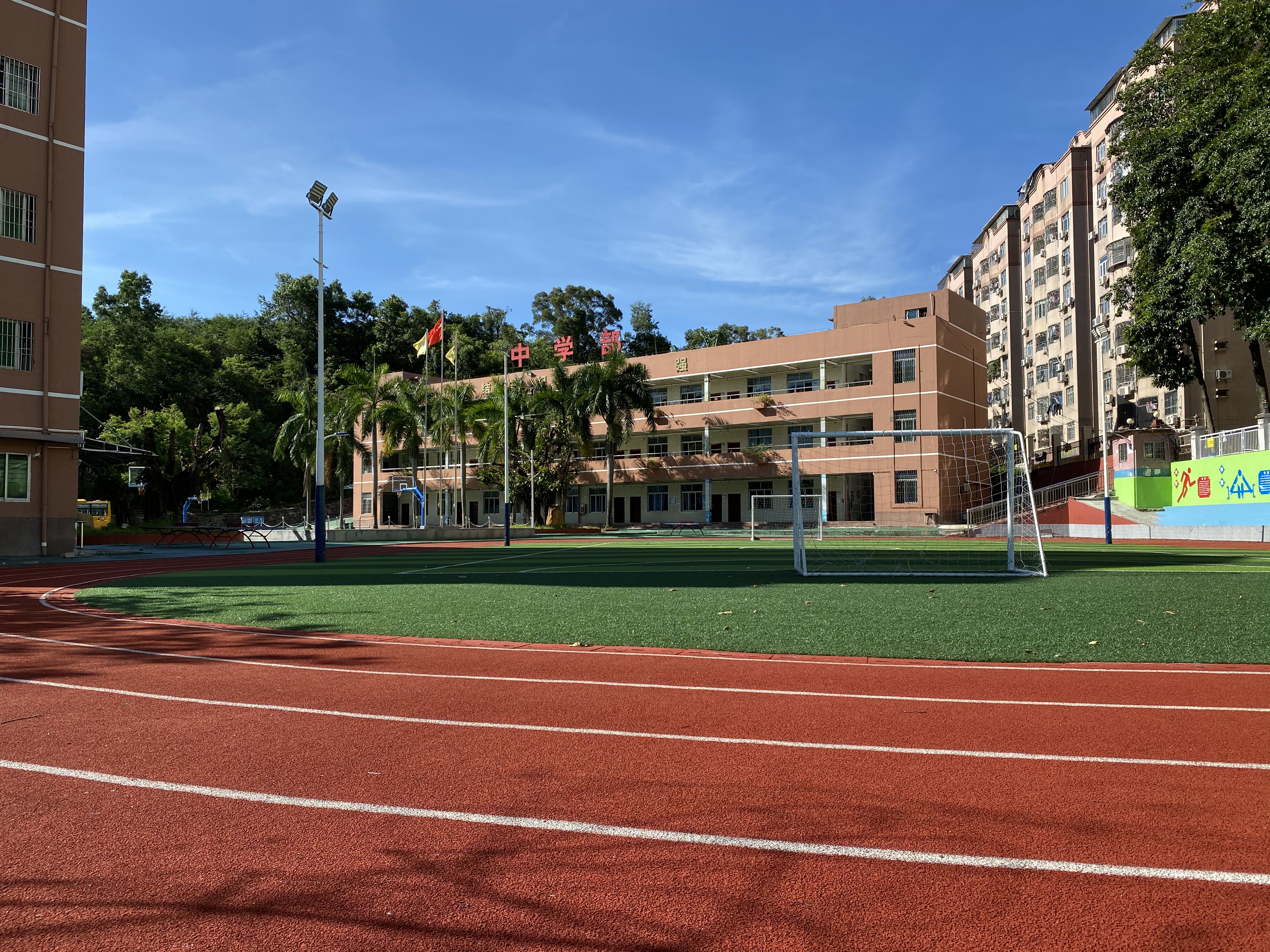  p data-id="gnhgy9u085">深圳市龙岗区丽湖学校是九年一贯制民办学校