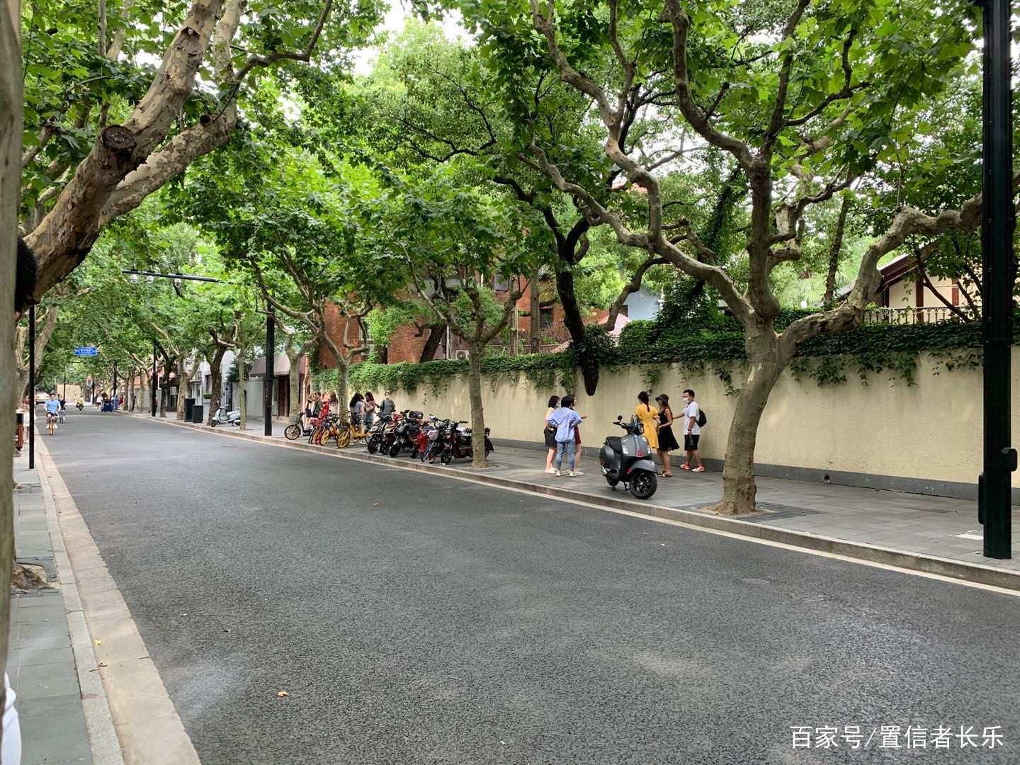 上海武康路，充满浪漫情调的马路_百科TA说