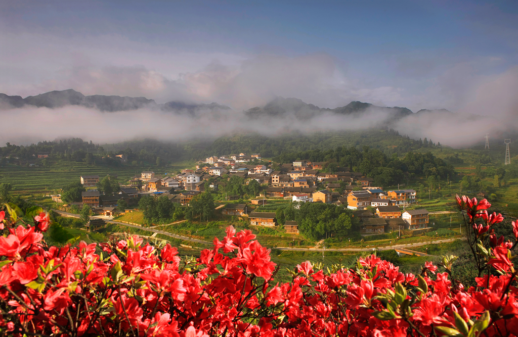 data-id="gnx1gfeej4">格多苗寨操中部方言苗语,外称青苗或片型短裙苗