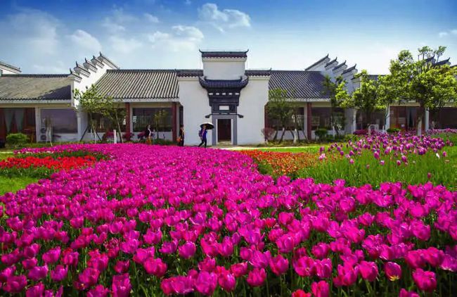 湖北金卉庄园农业有限公司