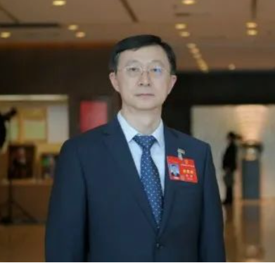 刘勇（国网重庆市电力公司董事长、党委书记）_百度百科
