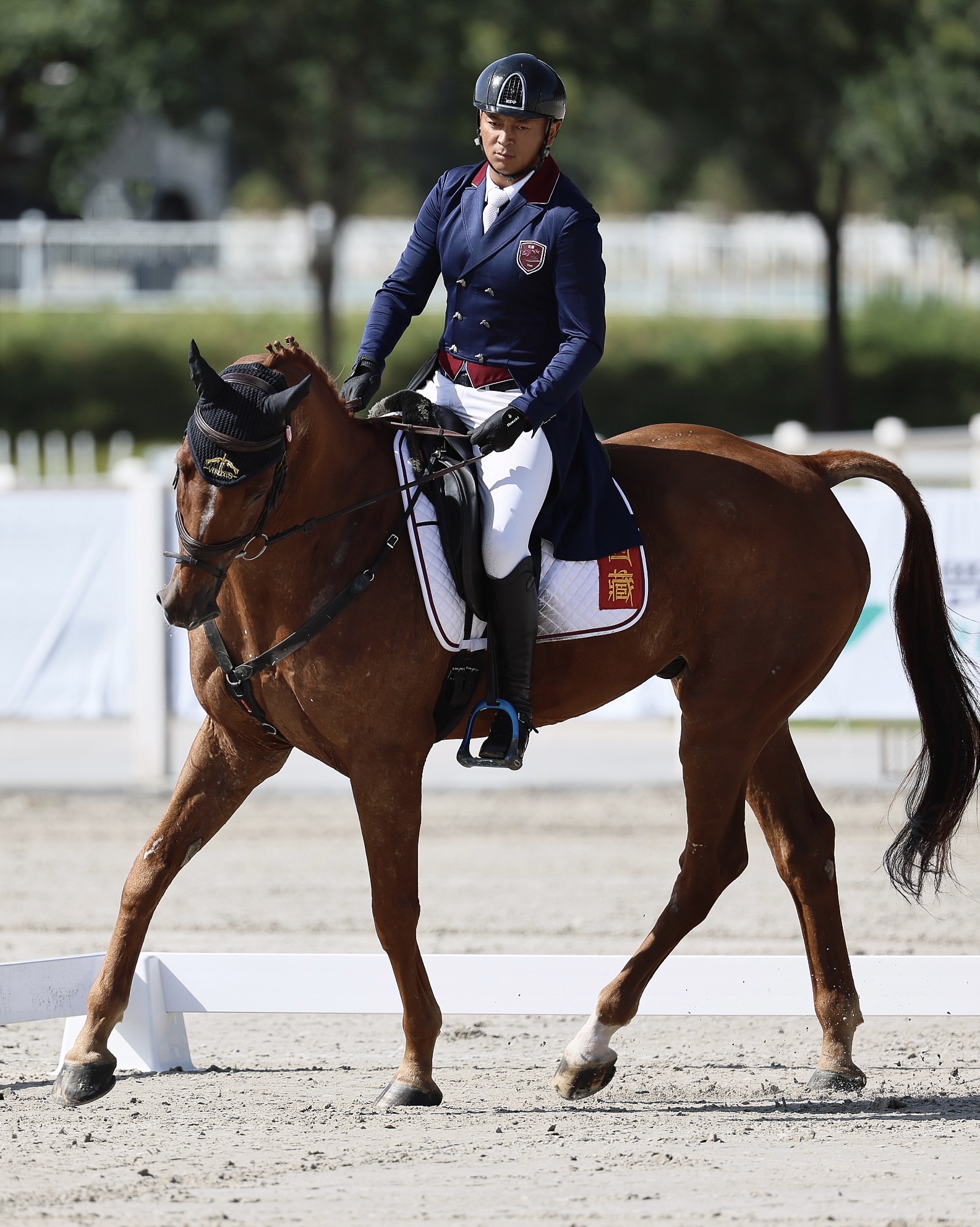 旦增罗旦,中国马术运动员.