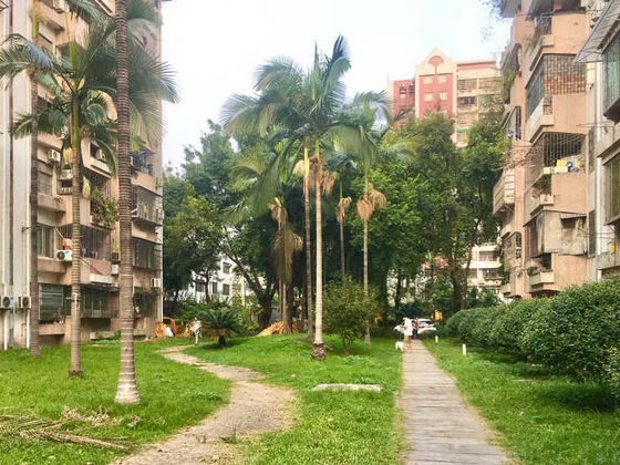 黄石花园黄园一街