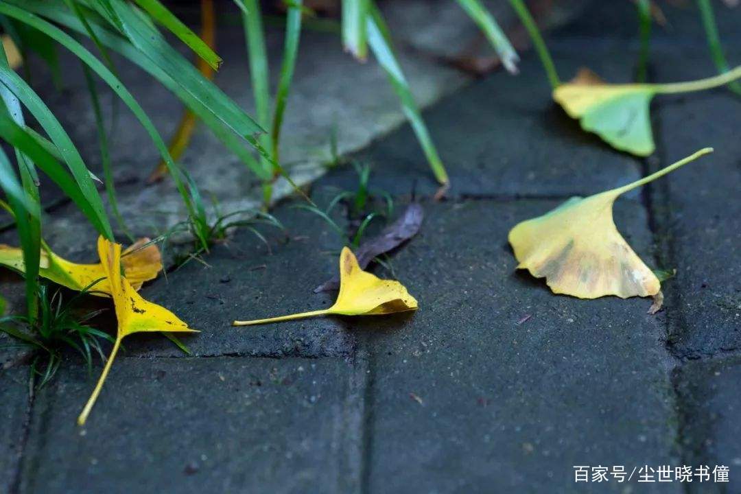 如果觉得内心很烦乱的话，那读一读王维这首诗，相信会平静下来_百科TA说