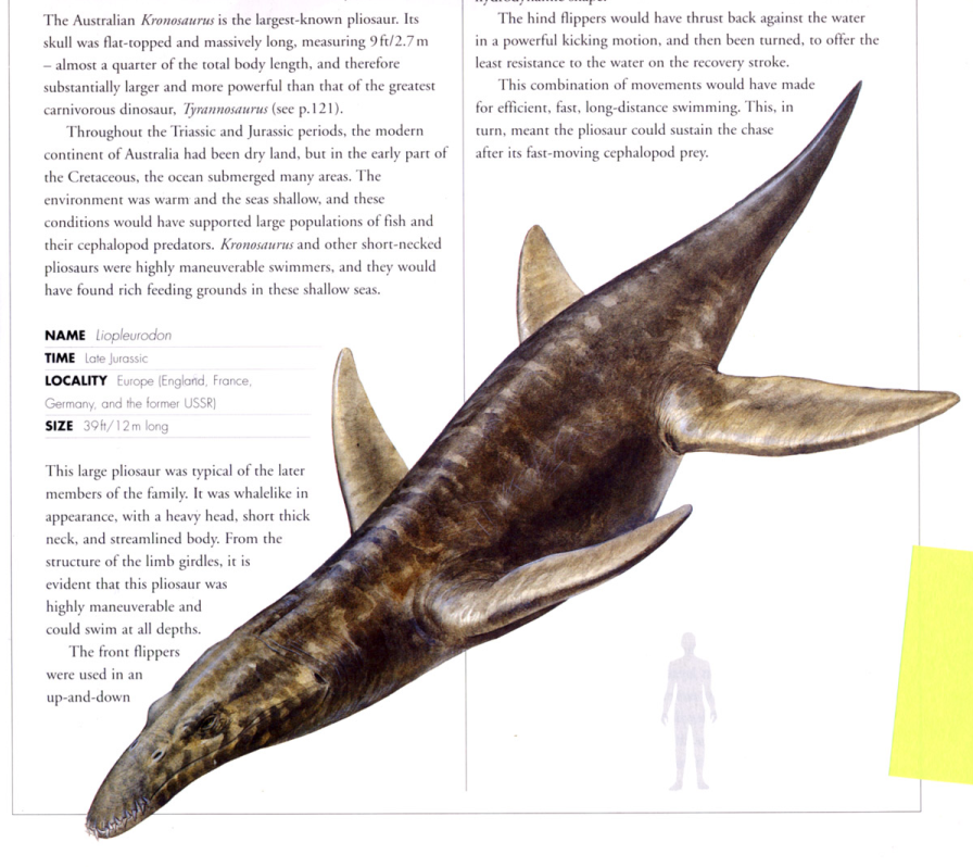  p>滑齿龙是一种 a target="_blank" href="/item/海洋爬行动物