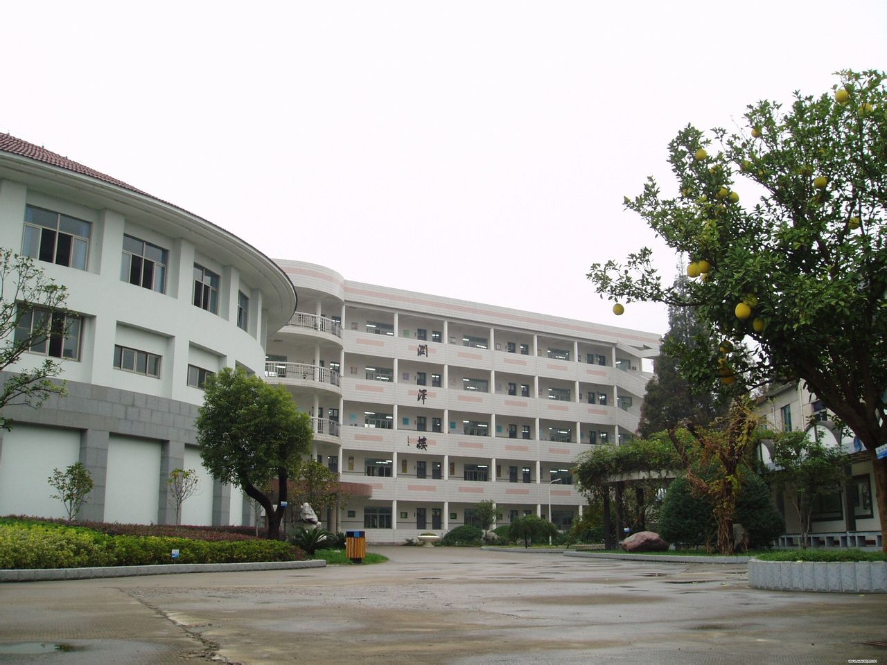 嵊州市黄泽中学