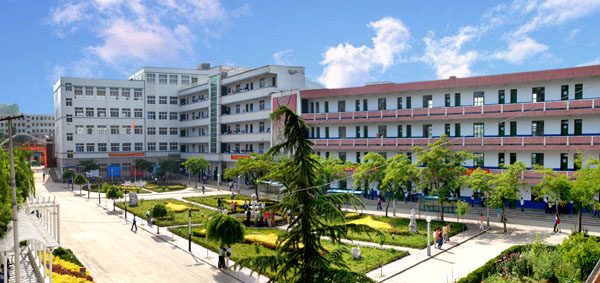  p>西和县第一中学简称西和一中,始建于1944年,原址以汉源镇夫子庙为