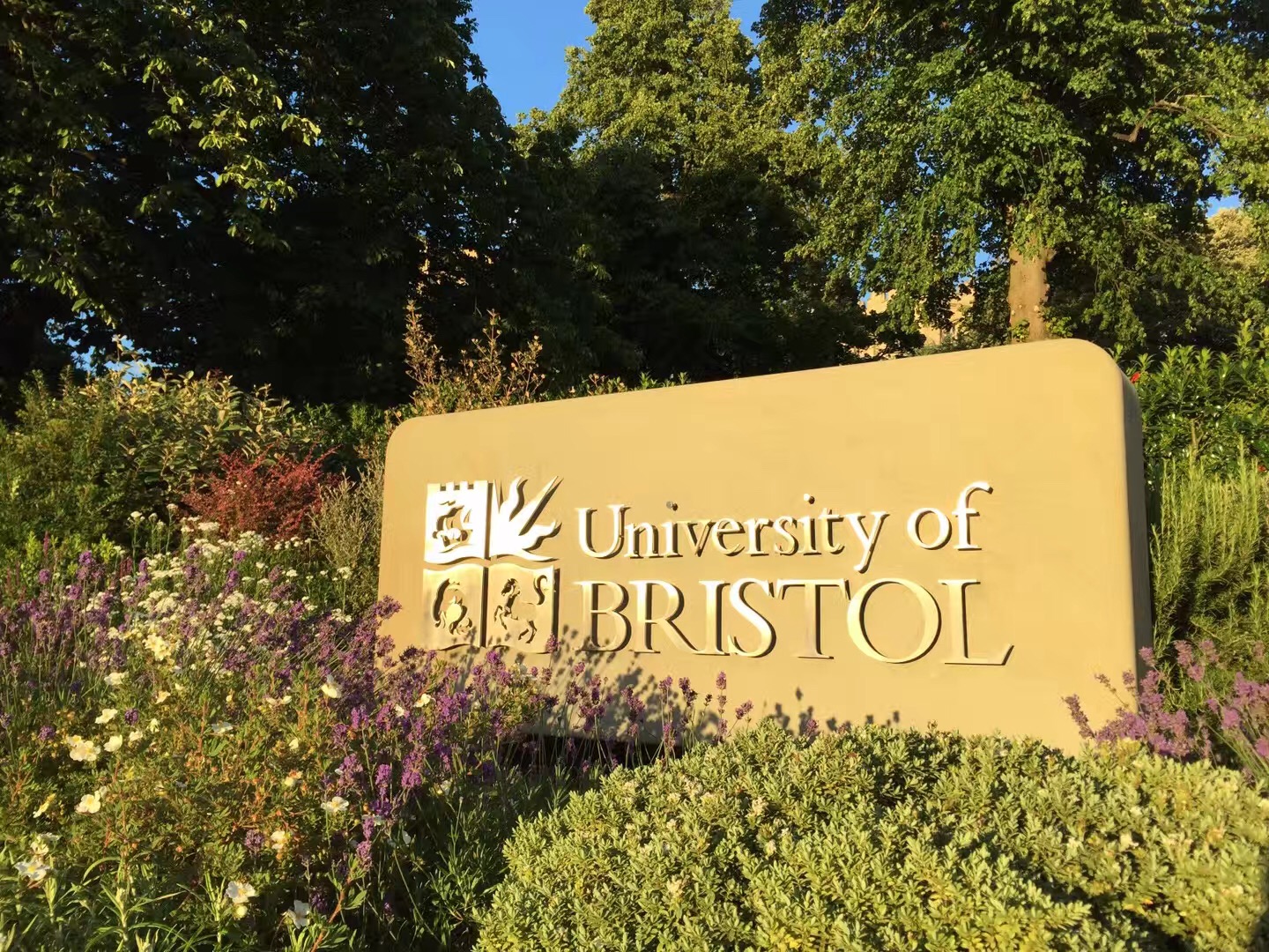 布里斯托大学