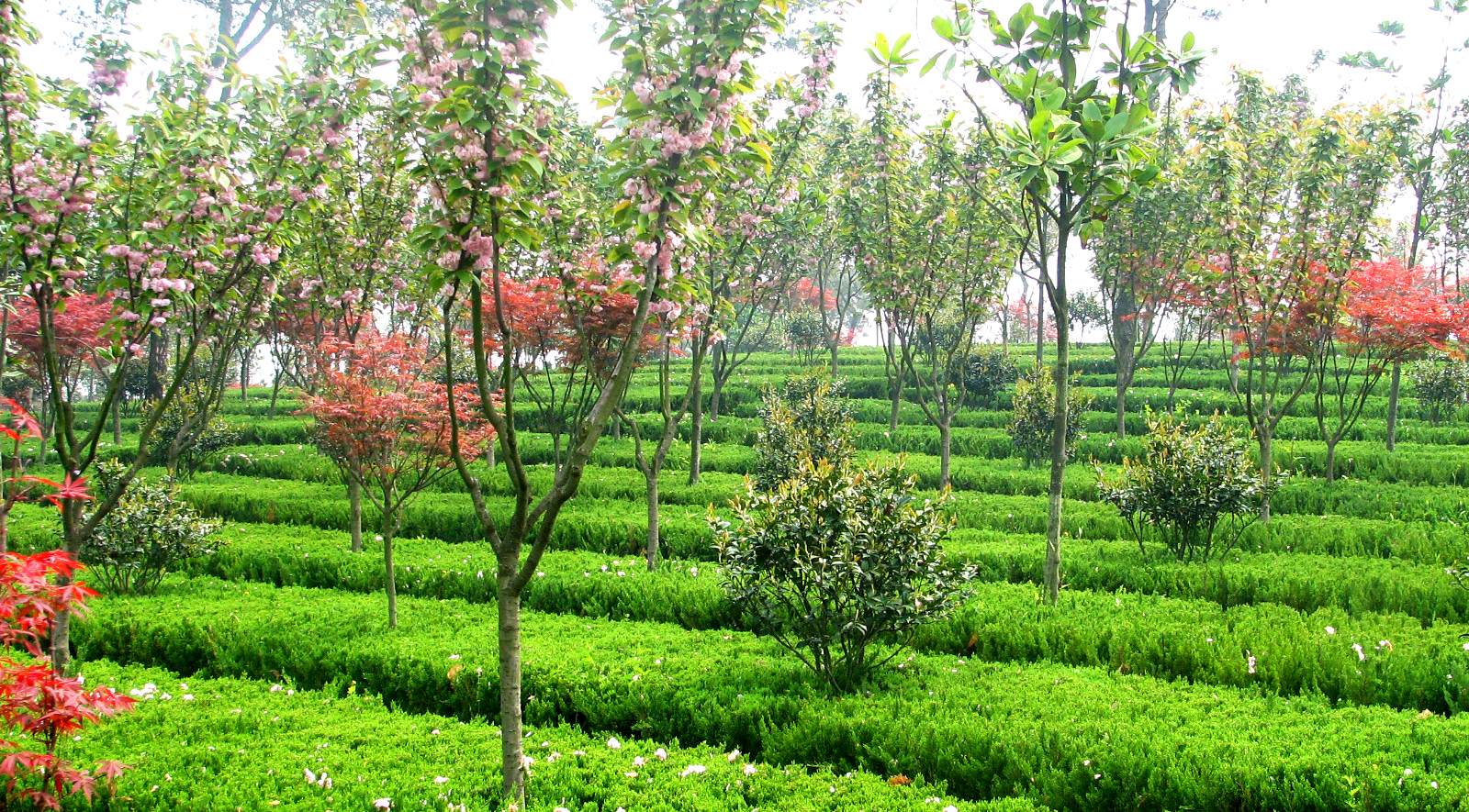 武汉幸福山生命公园